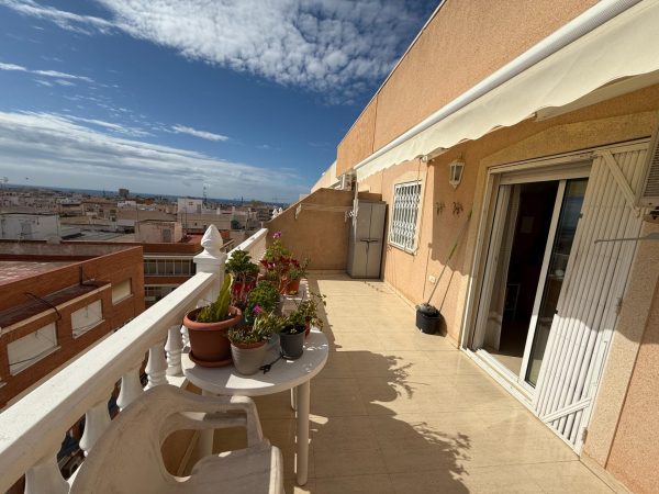 ALICANTE, Torrevieja, El Molino, 03181